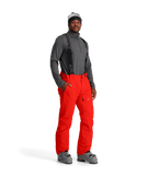 Dare Pant