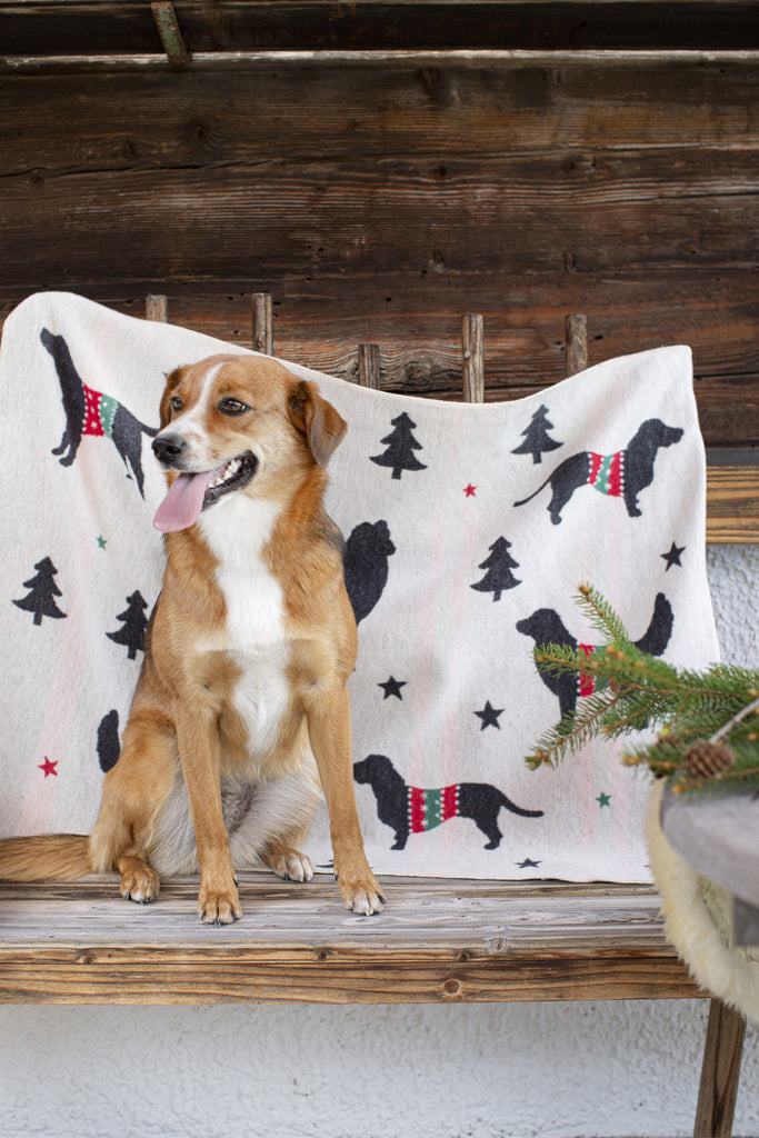 Xmas Dogs Blanket