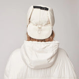 Arctic Aviator