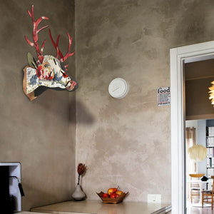 Eco Deer Head - Best Friend Extra Large